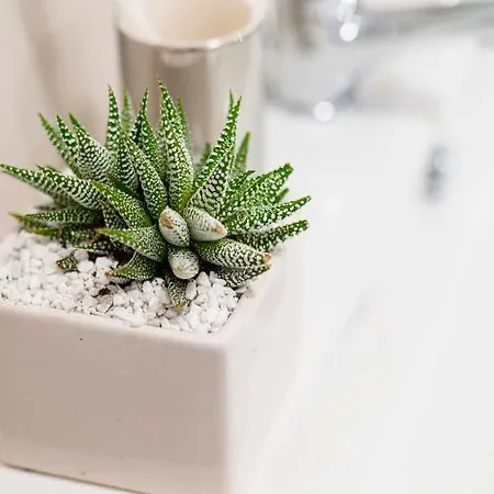 B&B La Valle 미아네